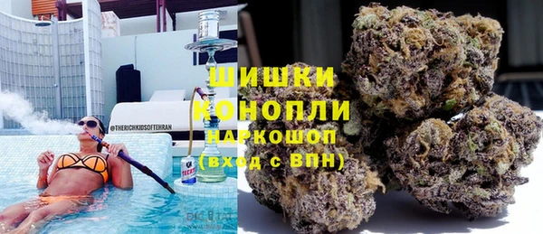 винт Новозыбков
