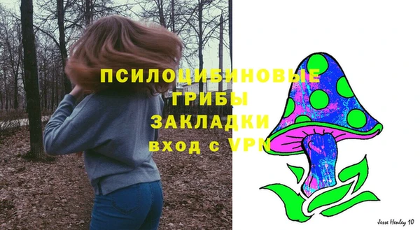 ешки Новокубанск