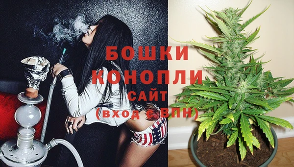 spice Новодвинск