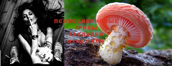 spice Новодвинск