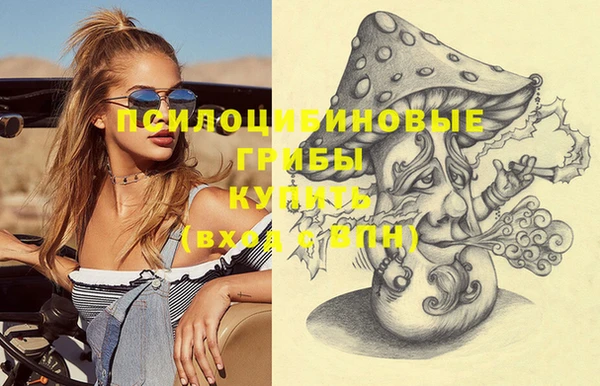 spice Новодвинск