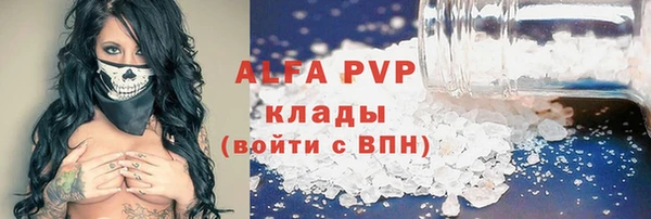 винт Новозыбков