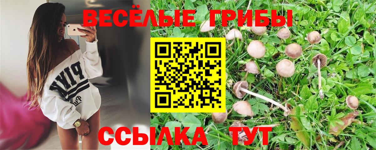 Галлюциногенные грибы Magic Shrooms Бахчисарай