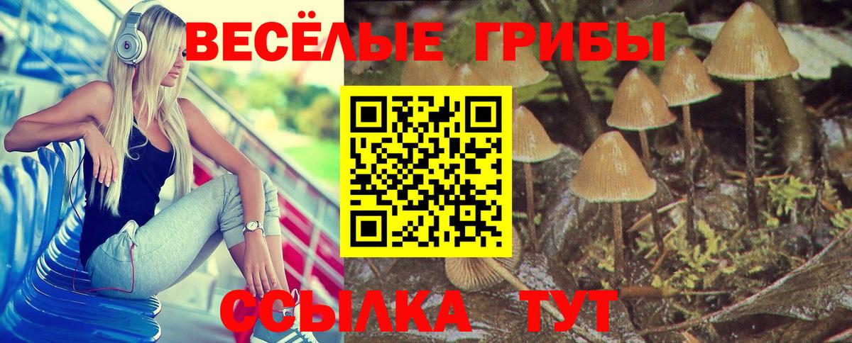 Бахчисарай  Псилоцибиновые грибы мицелий  Вход с VPN  Псилоцибиновые грибы GOLDEN TEACHER 